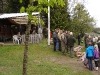 Buk 14