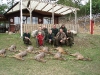 Bukkepral 2011
