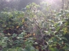 20151004_05